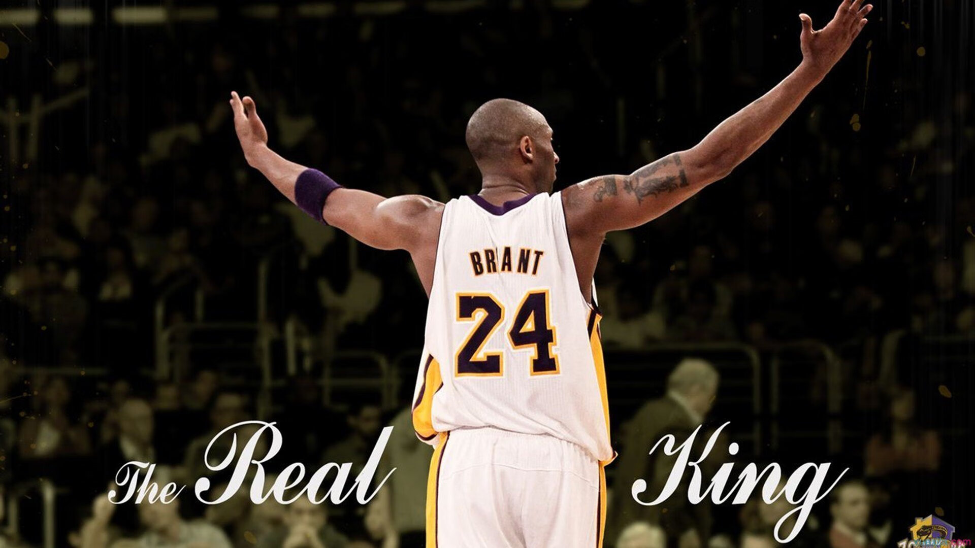 跟着张帅，学会允许一切发生！