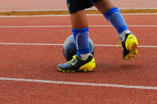 开云体育下载官网-青训是否支持球员全面发展包括学业和身体健康，青训要求